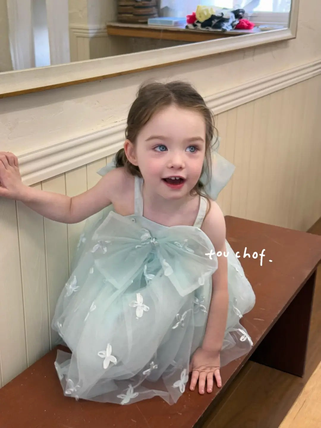 Butterfly Bowknot Tulle Dress